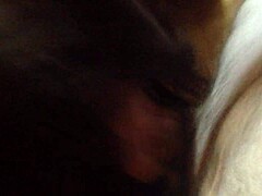 Trans babe's daring deep throat challenge