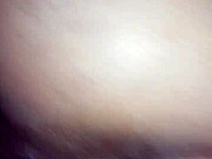 Amateurs' Raw Indoor Passion Collection