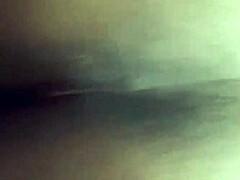 black females in backdoor moves
