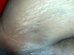 Tattooed Star Sparks Pure Laughter