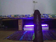 Why settle for less? Dive into anal amateur action