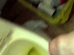 WET FANTASIES UNLEASHED