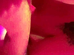 Stunning Brazilian Brunette Sucks Me Dry In Italian