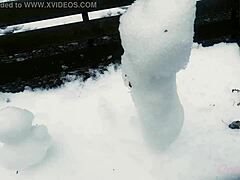 japanese white cat myaa’s snow sculpture art