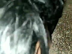INTENSE LATINA WEBCAM ACTION