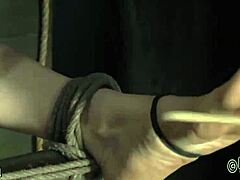 What Secrets Hide In These Bondage Clips?
