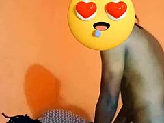 Petite Ebony Shines Live