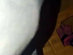 la zorrita de la villa explores her neighborhood adventures 😊