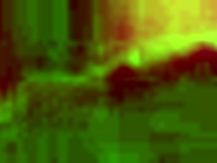 QUARANTINE PASSION IGNITES