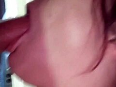 Amateur Beauty Takes It All