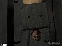 BDSM Collar Sparks Intense Delight