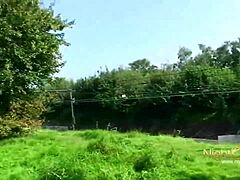what's the deal with the neighbor's wild hole?