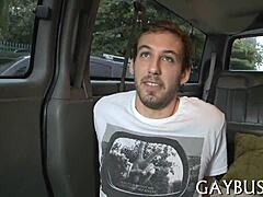 GAY INTENSITY UNLEASHED