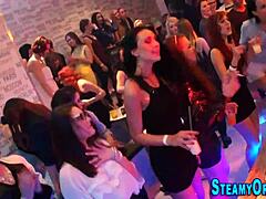 Amateur Teen Drilled at European Bash