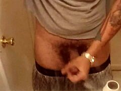 European Stud's Solo Display