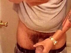 European Stud's Solo Display