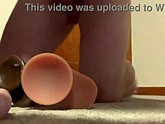 Sultry Amateurs in Gay Porn Bliss