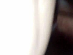 cristal chavez sucks my balls and cock hard