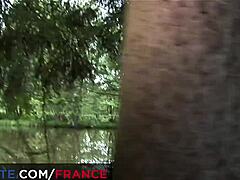 what’s hidden in this hardcore wood orgy?