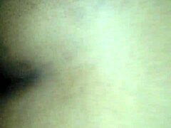 Perfect Pussy's Wet Allure