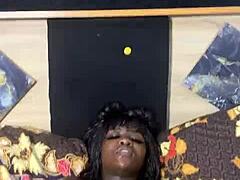 black beauty's solo bliss