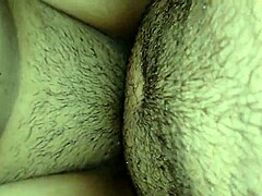 bengali homemade tease with creamy finish