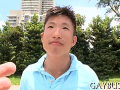 Steamy Gay Stars’ Moments.