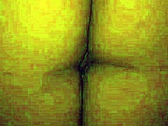 My wife's daring sensual journey