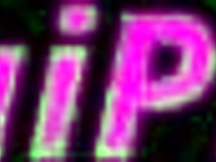 Dive into Wild Anime Realms Now