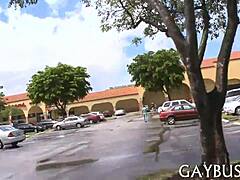 dive into gay passion storm