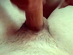 Amateur and Hentai Big Tit Action