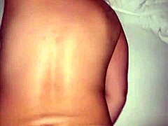 Curves Rule in Striking Display