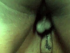 European BBW’s rough bang
