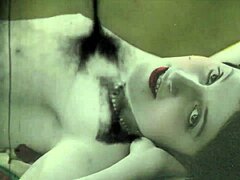 Vintage erotic movies with furry delights