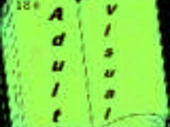 harem hotel 255 game fun 😎