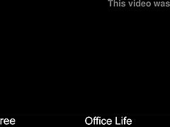 Office Life Erotic Game At Work