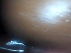 Pounding Her Ass from Behind with Intense Anal Play