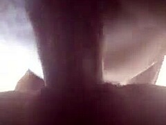 afroking - she love it when i give her from back i bang her hard