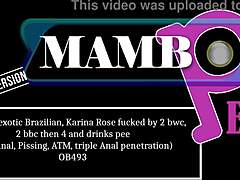 Very Slim Exotic Brazilian Karina Rose Fucked Hard by Multiple BWC and BBC