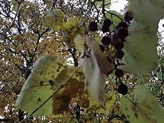 Wow, Our Autumn Romantic Sex in a Hut Feels So Wild!