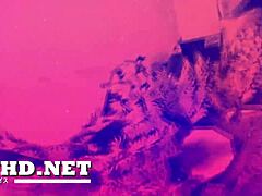 japanese gangbang clips showcasing raw hardcore group banging