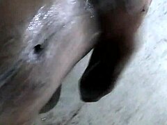 I'm Enjoying an Intense Handjob Right Now