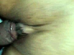 Latina prostitute shows wet shaved pussy tattooed