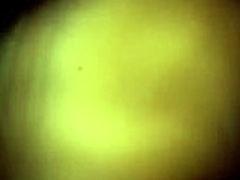 mi vecina spied on secretly