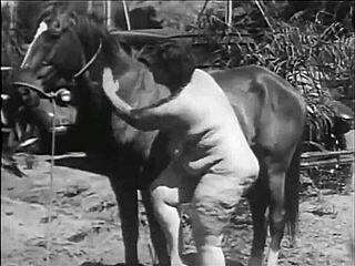 Dark Lantern Entertainment Presents Women With Animals in a Wild Retro Scene of Raw Desire