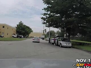 Watch thug's daring action unfold