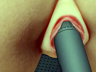 3D Lesbian Teens' Naughty Toy