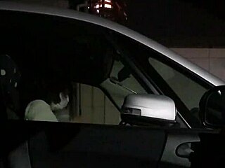 hey, ever seen a cock flash in a car?
