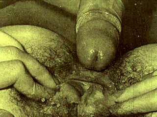 Victorian Gentleman's Forbidden Erotic Secrets