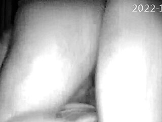 Cheeky trio caught on hidden cam?